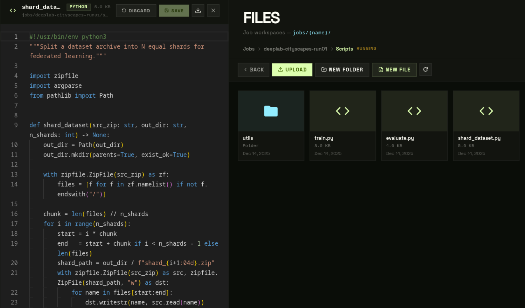 Files page with a pinned file panel open alongside the browser