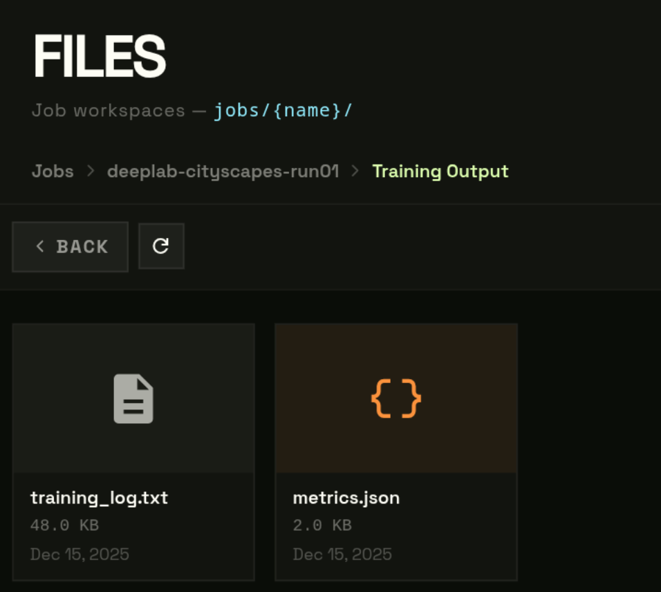 Files page — files_out/ listing with training logs and metrics